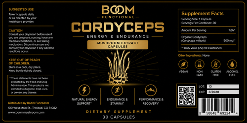 Cordyceps Mushroom Capsules For Energy